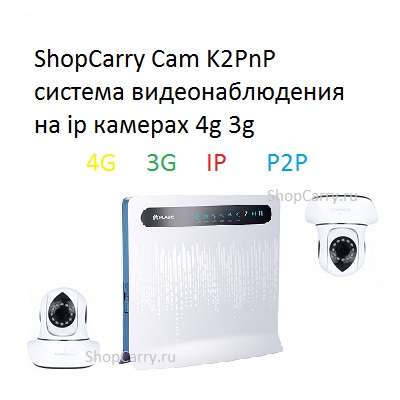 ShopCarry Cam K2PnP система видеонаблюдения на ip камерах 4G 3G